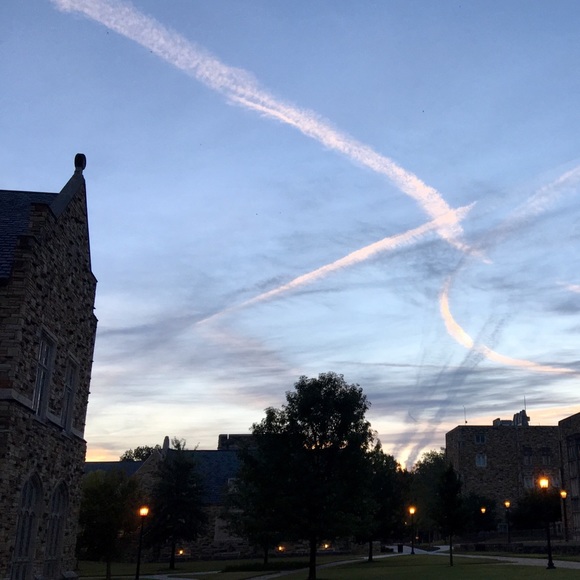 Meet your Posher, Kate - Picture 1 of 1